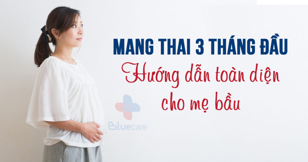 Mang thai 3 tháng đầu: Hướng dẫn toàn diện cho mẹ bầu
