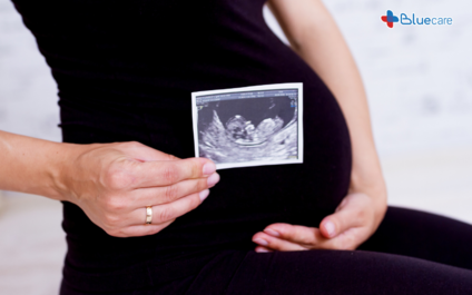 Thai nhi tháng thứ 3 phát triển nhanh chóng theo từng tuần